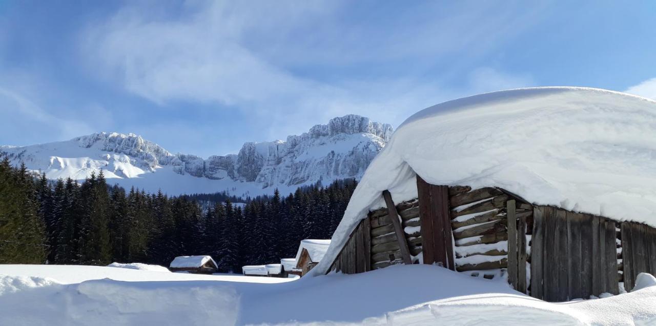 Haus Lerchenreith Lägenhet Bad Aussee Exteriör bild
